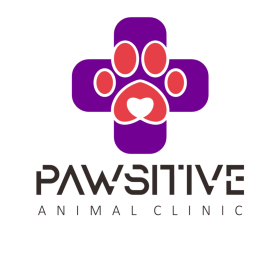 Pawsitive Animal Clinic Cirebon