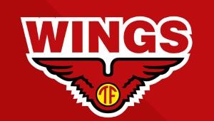 Lowongan Kerja WINGS Group Indramayu